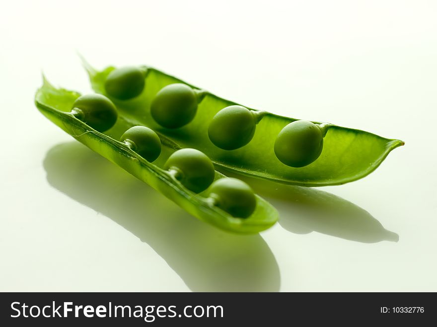 Garden peas in the pod. Garden peas in the pod