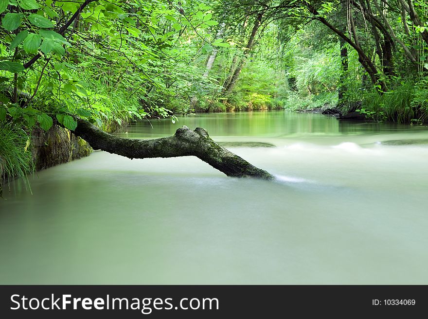 Tree trunk fallen in a milky river