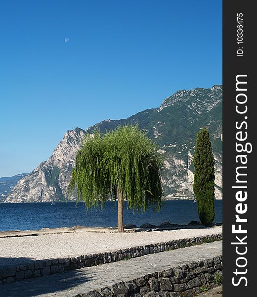 Scenery of Lake Garda with trees, Trentino, Italy. Scenery of Lake Garda with trees, Trentino, Italy