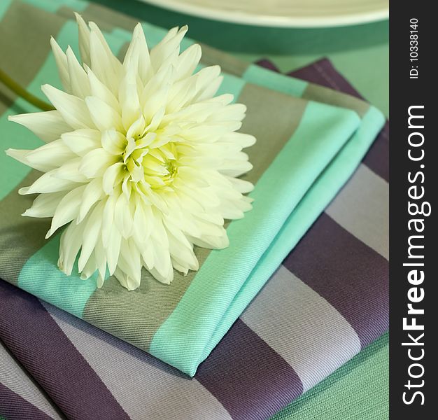 White chrysanthemum and color napkin on table. White chrysanthemum and color napkin on table.