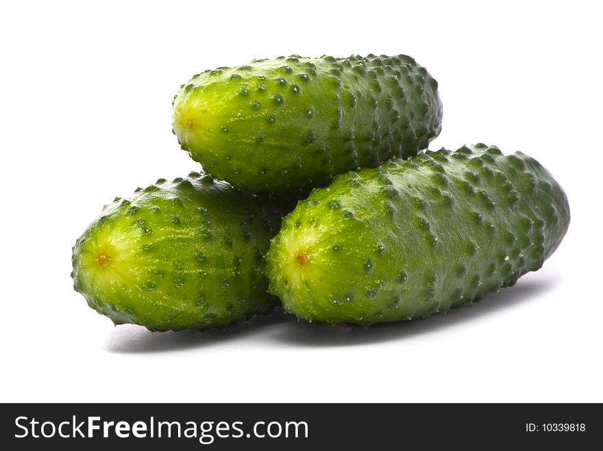 Fresh Cucumbers