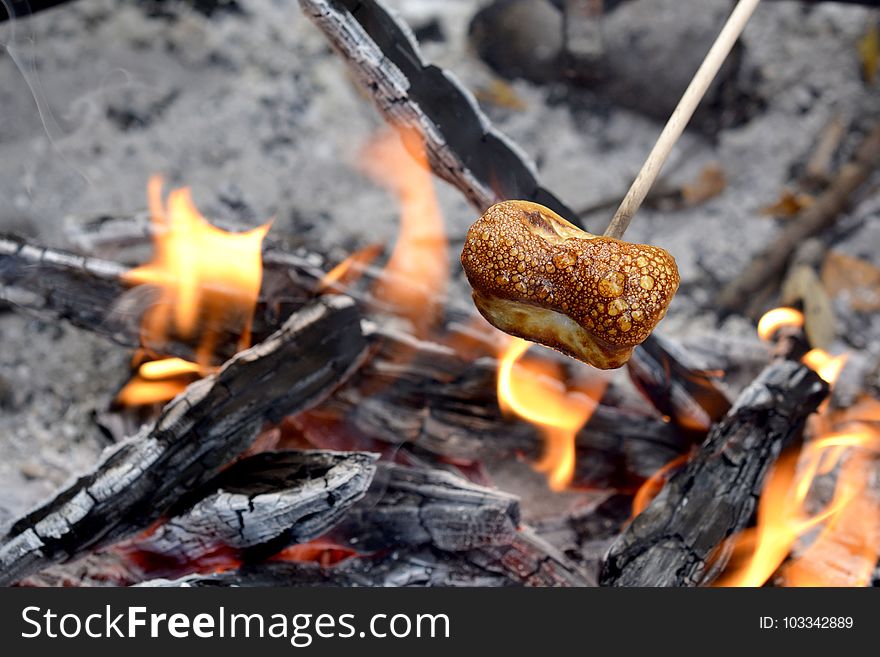 Grilling, Fungus, Animal Source Foods