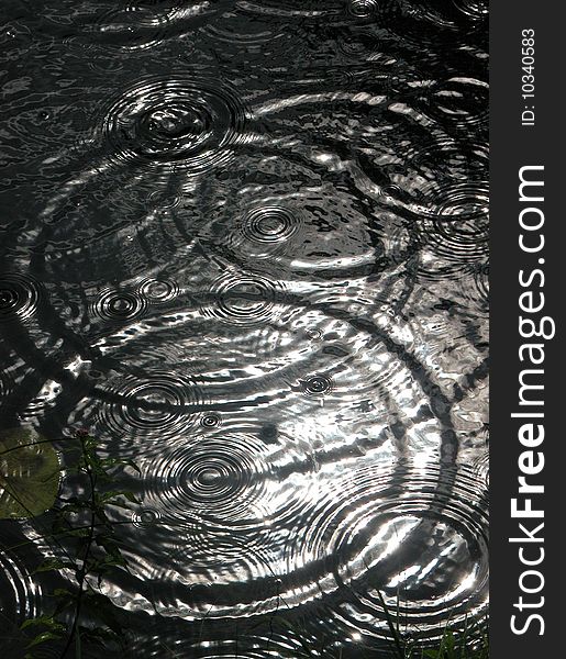 Big droplets of rain, slowly falling in a pond, leaving a nice circle-pattern. Big droplets of rain, slowly falling in a pond, leaving a nice circle-pattern.