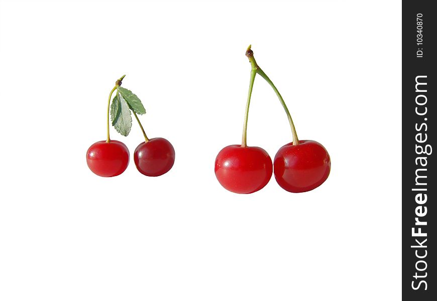 Two couples of cherries at the pedicle isolated on the white background. Two couples of cherries at the pedicle isolated on the white background