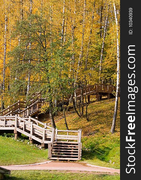 Autumn colors in the park, landscape