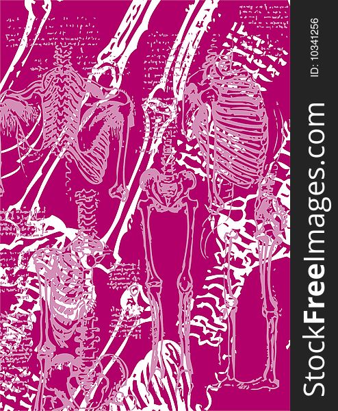 Some skeletons with pink background. Some skeletons with pink background