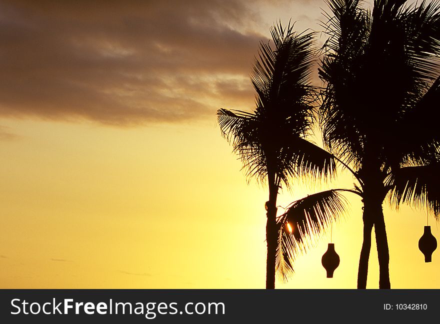 Two palm trees silhouetted in sunset.