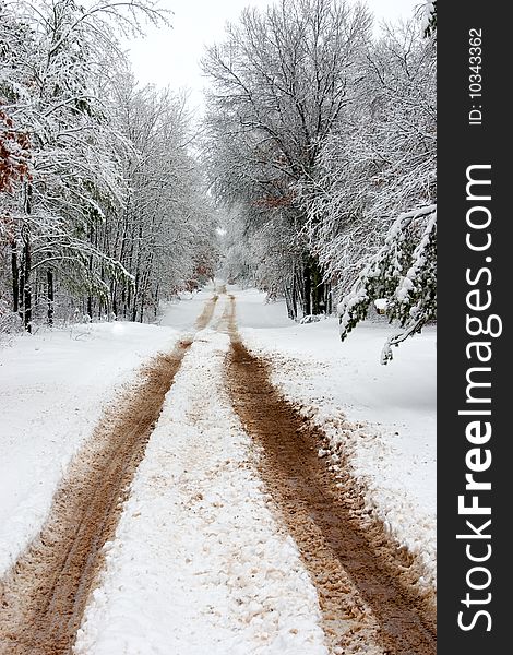 A long snowy road surrounded by woods