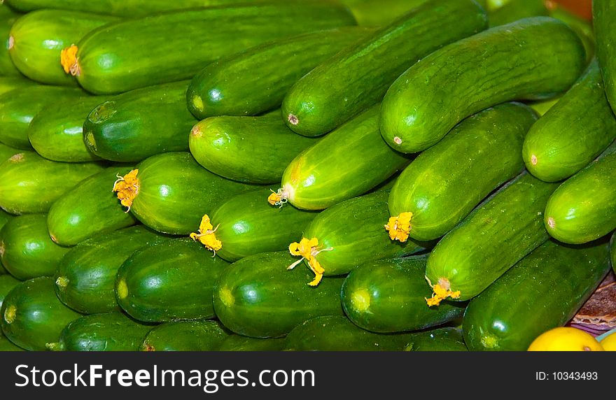 Close up of zucchini or courgette vegetable. Close up of zucchini or courgette vegetable