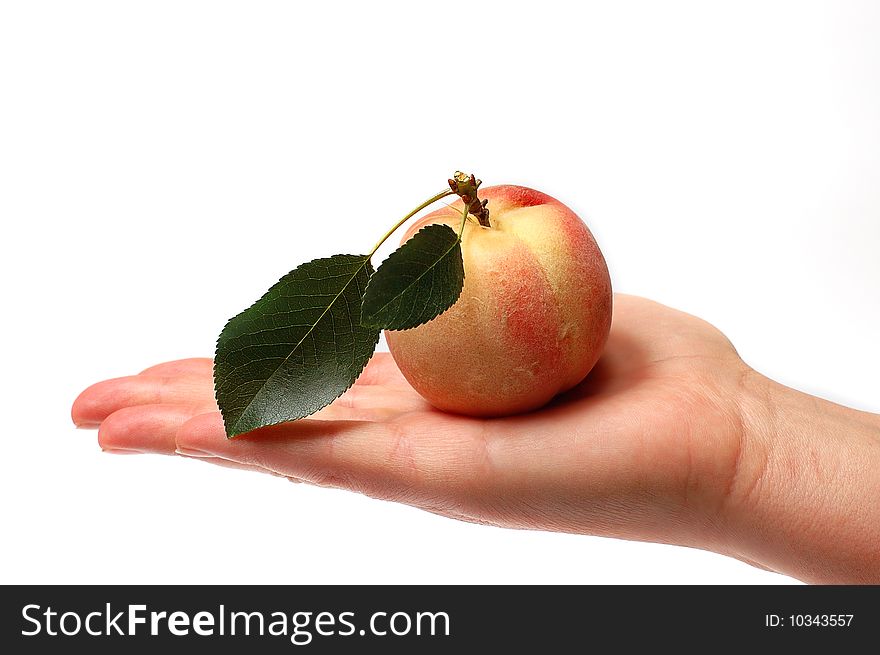 Peach on hand  isolated on white background