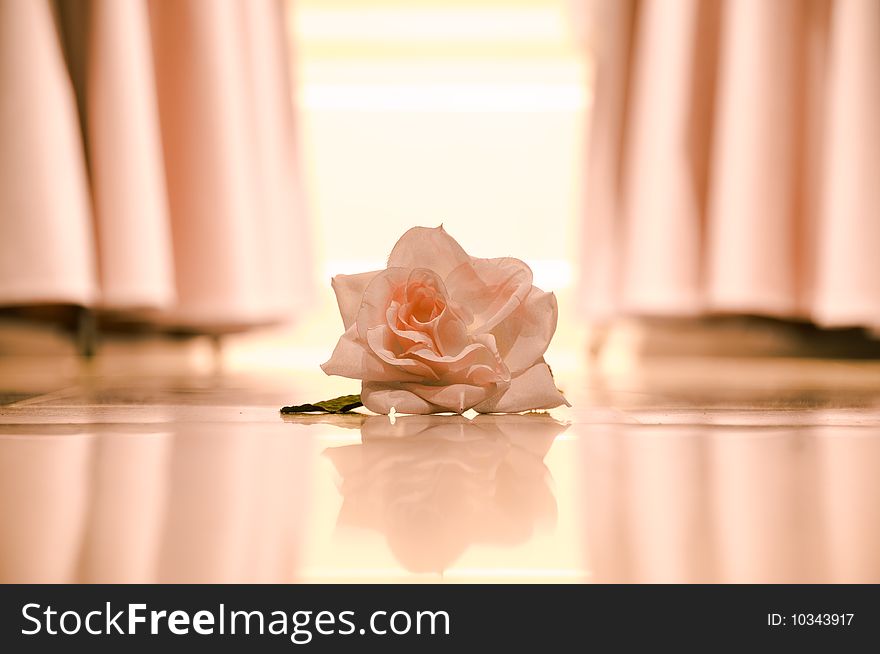 Pink/Orange rose on floor with some curtains on the background love symbol plant symmetric duotone