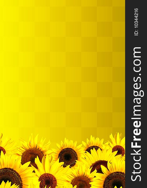 Background with a lot of yellow sunflowers petals. Background with a lot of yellow sunflowers petals
