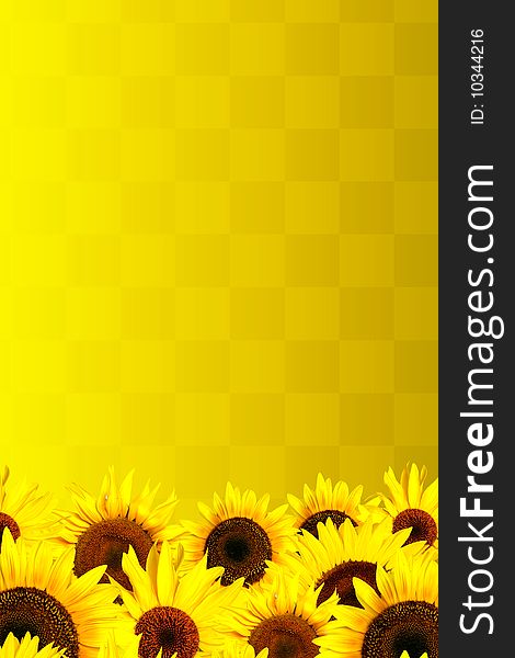 Yellow sunflowers petals background