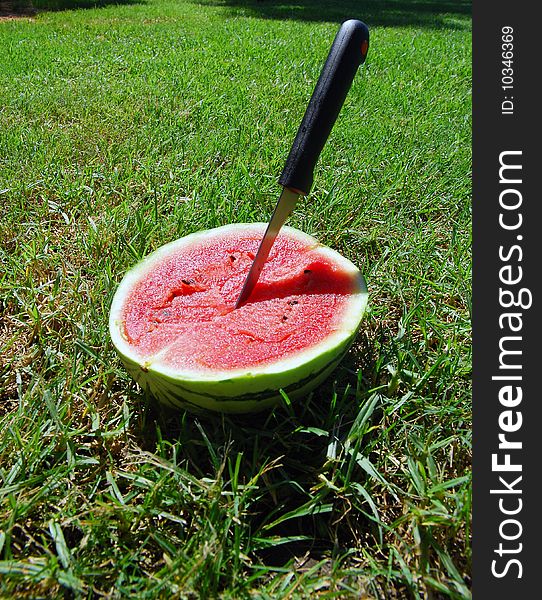 Watermelon chopped by knife on a green grass. Watermelon chopped by knife on a green grass