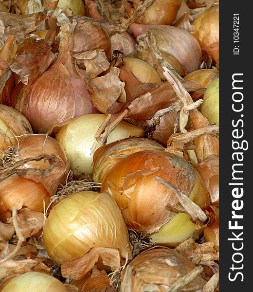 Raw onion on the garden in stack as food background