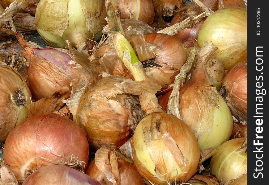 Raw onion on the garden in stack as food background