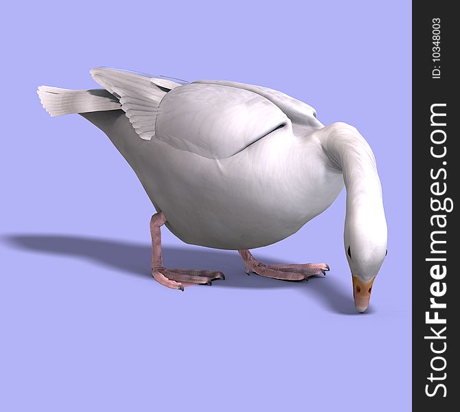 3D rendering of a snow goose with clipping path and shadow over white