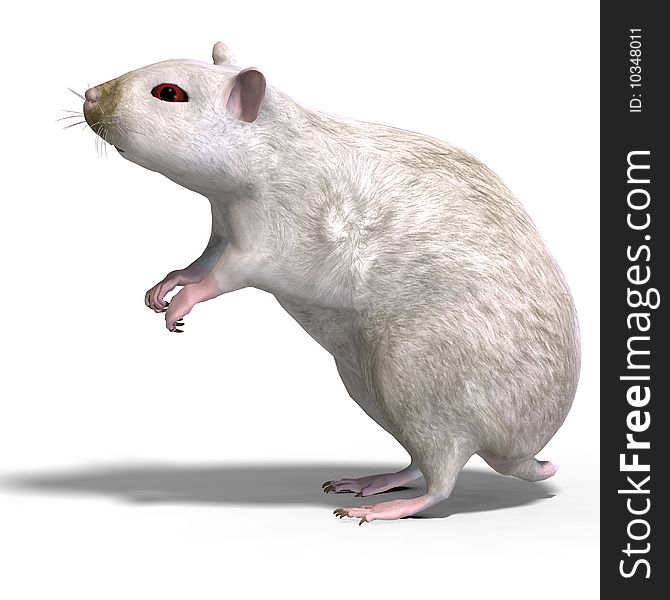 3D rendering of a sweet hamster with clipping path and shadow over white. 3D rendering of a sweet hamster with clipping path and shadow over white