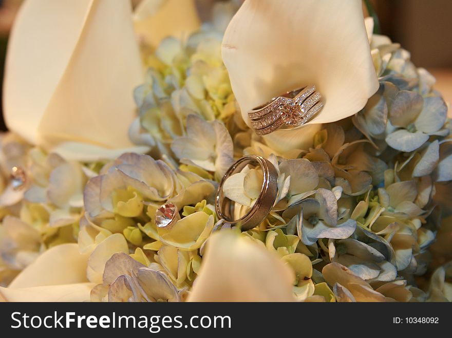 Bride and grooms wedding rings sit in delicate bridal bouquet. Bride and grooms wedding rings sit in delicate bridal bouquet