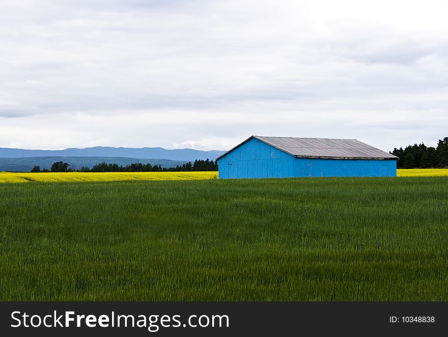 Blue Barn in a field