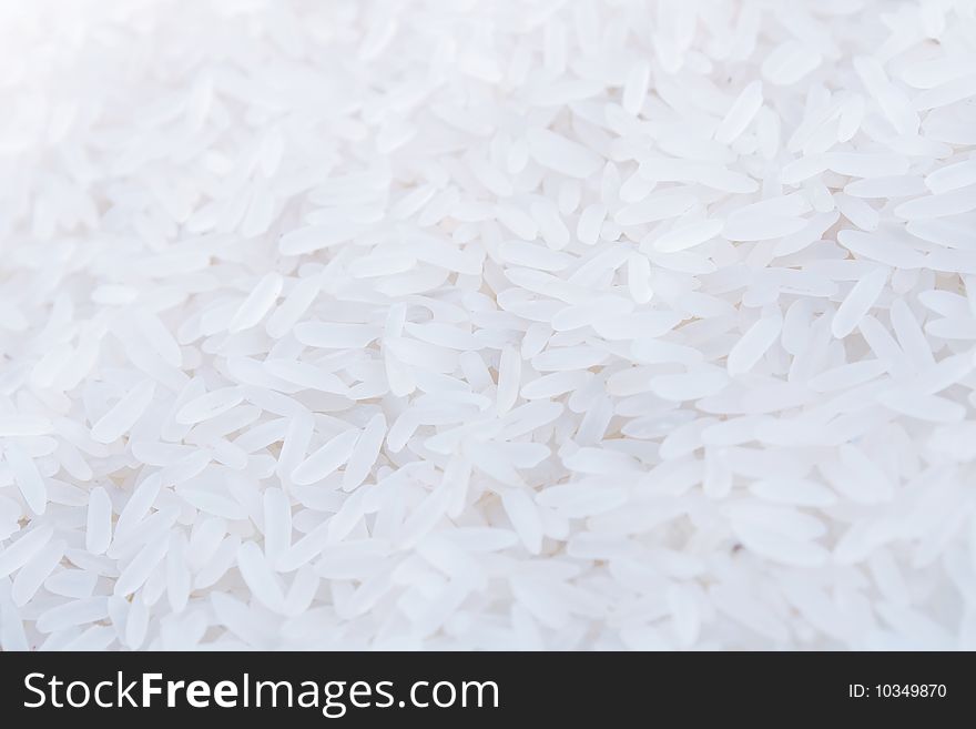 Rice Grain