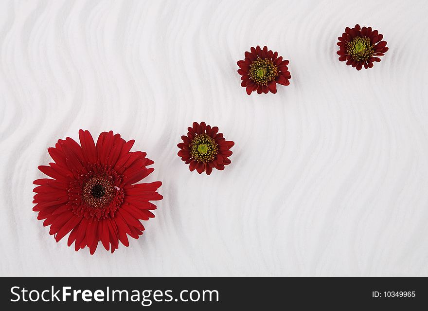 Red flowers (Gerber and the Chrysanthemum) and sea salt - a still-life in style SPA. Red flowers (Gerber and the Chrysanthemum) and sea salt - a still-life in style SPA