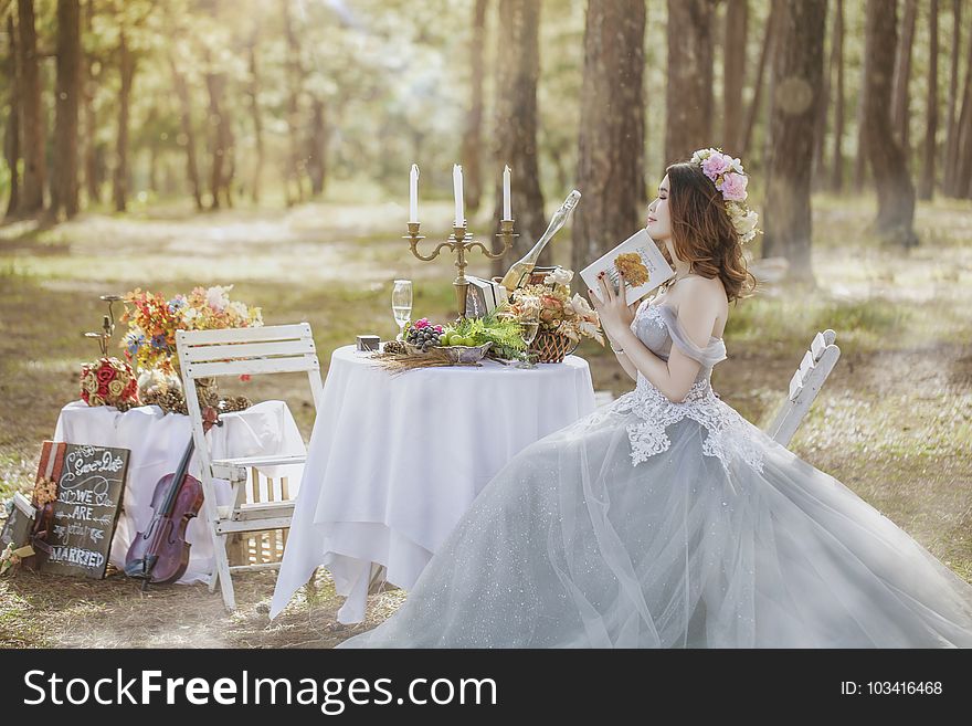 Photograph, Bride, Gown, Wedding Dress