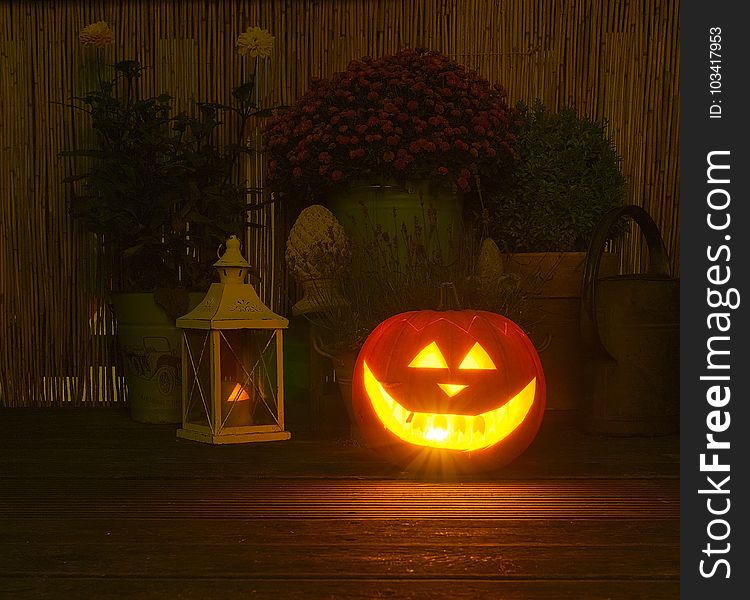 Lighting, Halloween, Jack O Lantern, Pumpkin