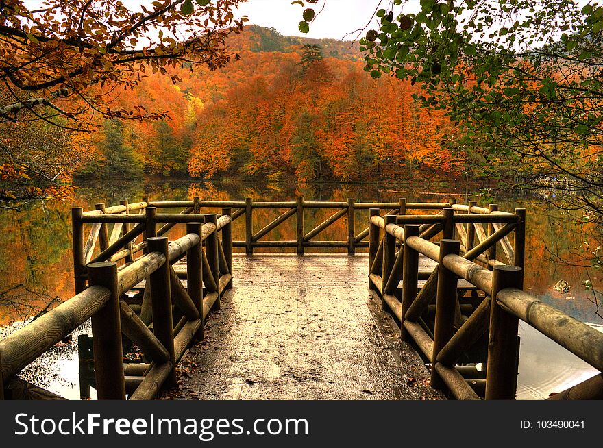 Wooden Pier, Autumn In Lake