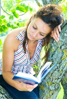 Reading Stock Photography Reading Stock Photography