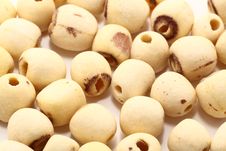 Lotus Seeds Stock Images
