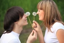 Pair With Dandelions In Hands Royalty Free Stock Image Pair With Dandelions In Hands Royalty Free Stock Image