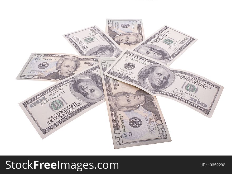 Dollars flower isolated on the white