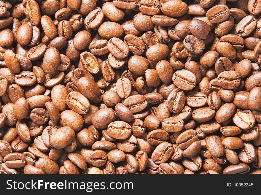 Coffee bean in close-up