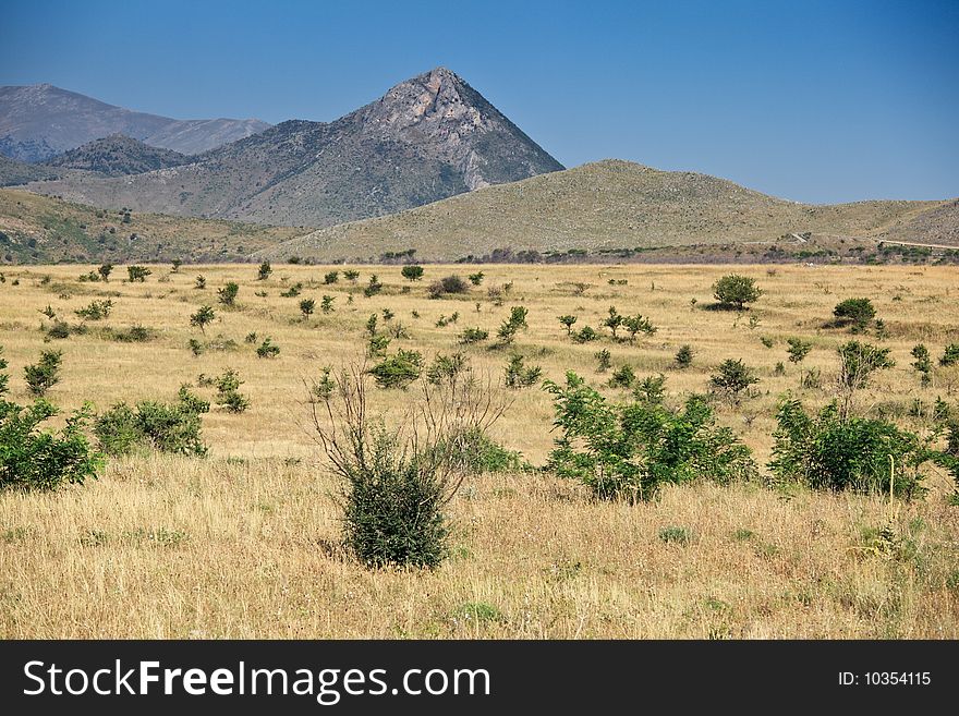 Typical torrid landscape with rare flora of non-urban area of the southern Italy. Typical torrid landscape with rare flora of non-urban area of the southern Italy