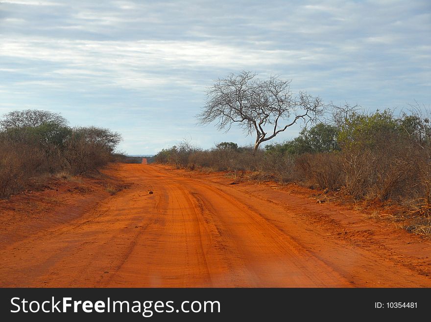 Road of red earth in Kenya. Road of red earth in Kenya