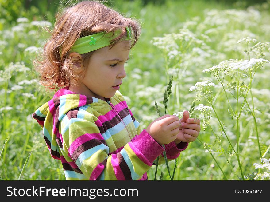 Little girl on glade with grass-blade in hand