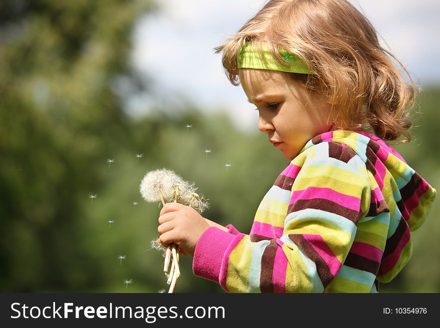 Thoughtful Girl With Dandelions In Hand