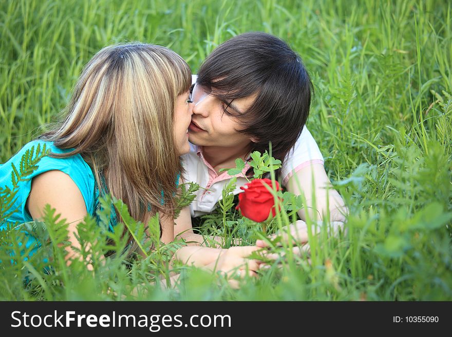 Young pair kissing in green grass. Young pair kissing in green grass