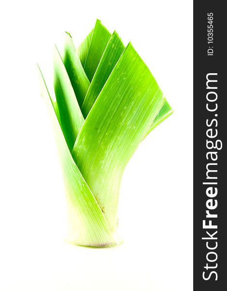 Single green leek head on a white background