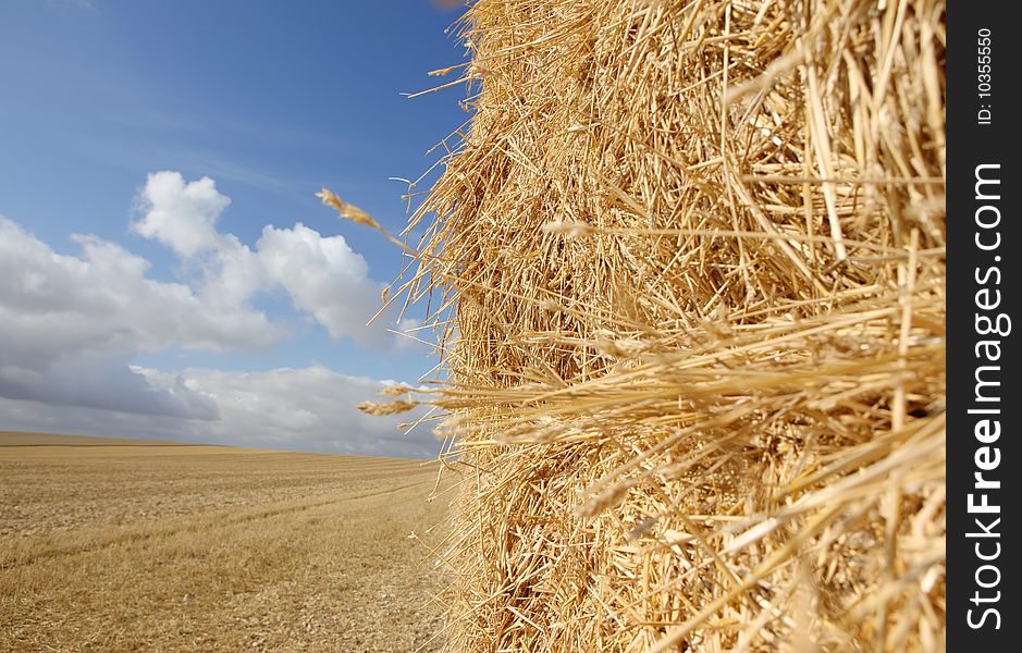 Close-up of haystack in a harvested field. Close-up of haystack in a harvested field