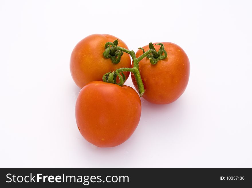 Freshly harvested tomatoes on a white background. Freshly harvested tomatoes on a white background