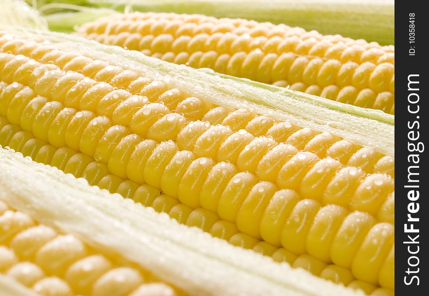 Raw yellow corn closeup background. Raw yellow corn closeup background.