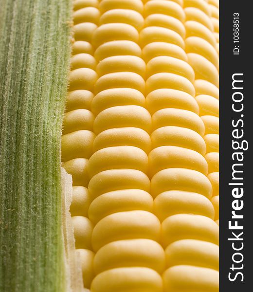 Raw yellow corn closeup background. Raw yellow corn closeup background.