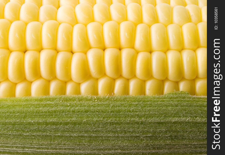 Raw yellow corn closeup background. Raw yellow corn closeup background.