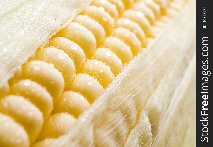 Raw yellow corn closeup background. Raw yellow corn closeup background.