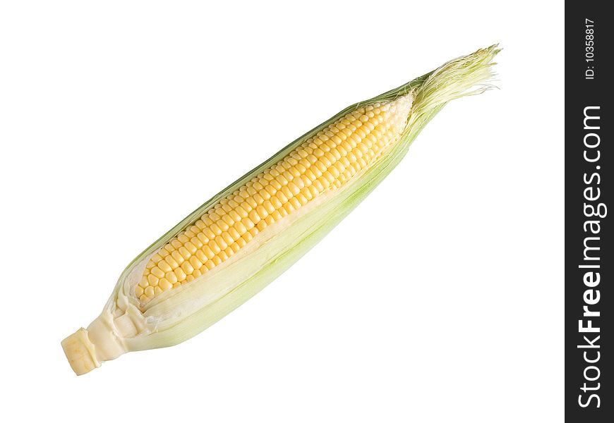 Corn on white background (isolated with path). Corn on white background (isolated with path).