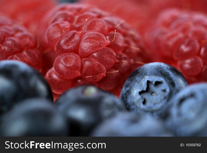 A close up of juicy raspberries and blueberries. A close up of juicy raspberries and blueberries.