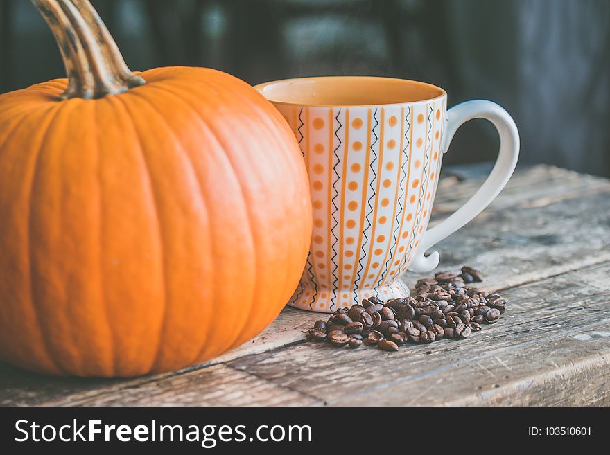 Orange Pumpkin Near White Ceramic Mug With Seeds