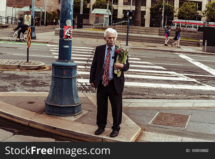 Adult, Aged, Bouquet, Buildings